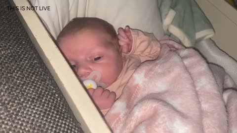 Baby Kayla Highlights LIVE NEWBORN - 79 DAYS