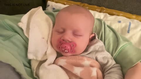 Baby Kayla Highlights LIVE NEWBORN - 79 DAYS