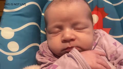 Baby Kayla Highlights LIVE NEWBORN - 79 DAYS