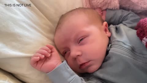 Baby Kayla Highlights LIVE NEWBORN - 80 DAYS UPDATED!