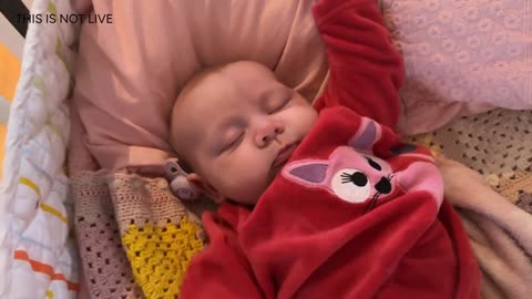 Baby Kayla Highlights LIVE NEWBORN - 80 DAYS UPDATED!