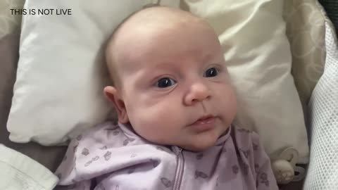 Baby Kayla Highlights LIVE NEWBORN - 80 DAYS UPDATED!