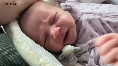 Baby Kayla Highlights LIVE NEWBORN - 80 DAYS UPDATED!