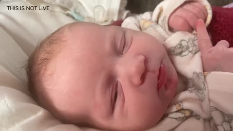 Baby Kayla Highlights LIVE NEWBORN - 80 DAYS UPDATED!