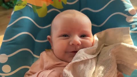 Baby Kayla Highlights LIVE NEWBORN - 80 DAYS UPDATED!