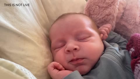 Baby Kayla Highlights LIVE NEWBORN - 80 DAYS UPDATED!