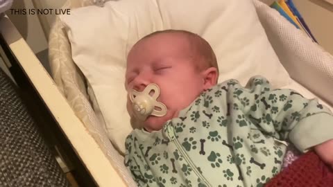 Baby Kayla Highlights LIVE NEWBORN - 80 DAYS UPDATED!