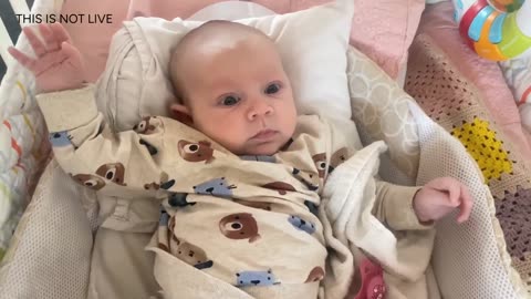 Baby Kayla Highlights LIVE NEWBORN - 80 DAYS UPDATED!