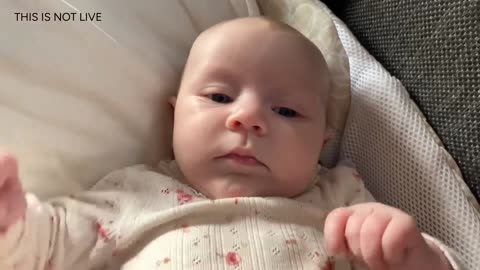 Baby Kayla Highlights LIVE NEWBORN - 80 DAYS UPDATED!