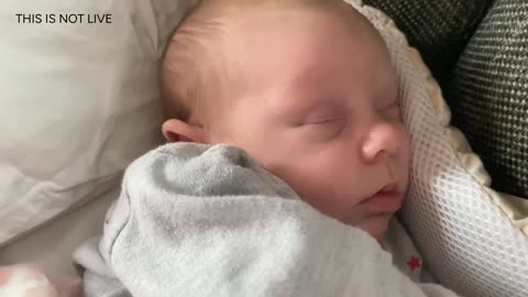 Baby Kayla Highlights LIVE NEWBORN - 80 DAYS UPDATED!