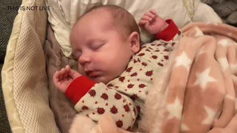 Baby Kayla Highlights LIVE NEWBORN - 80 DAYS UPDATED!