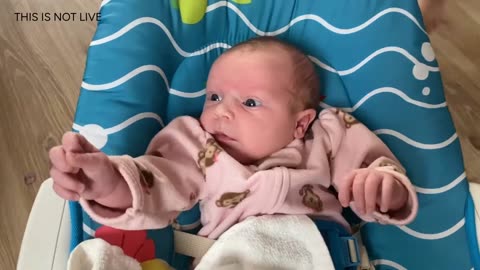 Baby Kayla Highlights LIVE NEWBORN - 80 DAYS UPDATED!