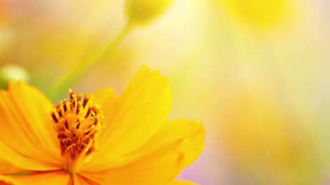 Journey of faith and spiritual growth Mark 13:31 Daily Bible Verse
