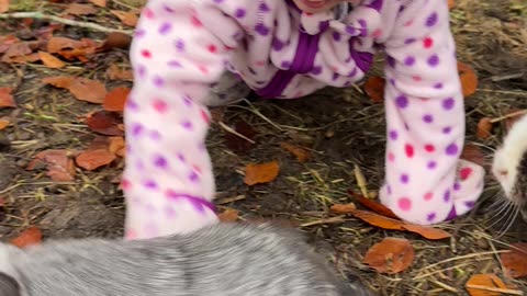 Baby Kayla Playing Gently with the Bunnies | Sweetest Outdoor Moment