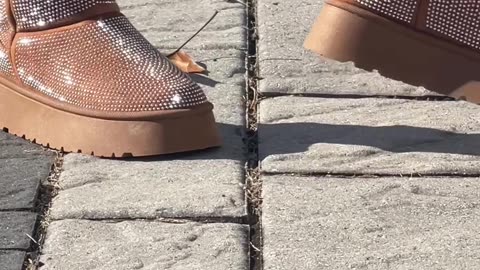 Snowboots, size available 7, 7.5, 8 and 9