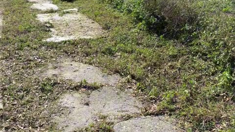 Abandoned House Turns Into H.O.A. Nightmare—No One Claims Ownership P9
