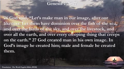 Genesis 1:26-27