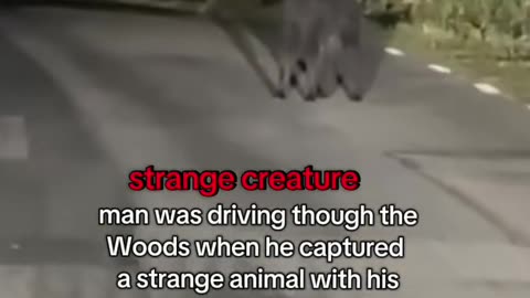 😱👹 Wait For The End... Shocking Ouija & Alien Encounters! | TheHauntingHour