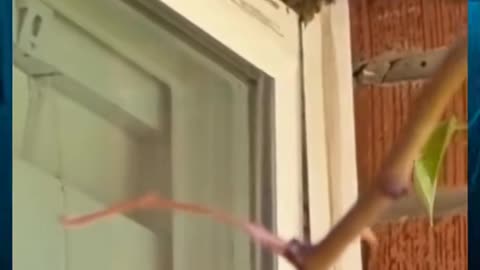 👽😨 You Won't Believe What They Caught on Camera! Ouija Board | TheHauntingHour