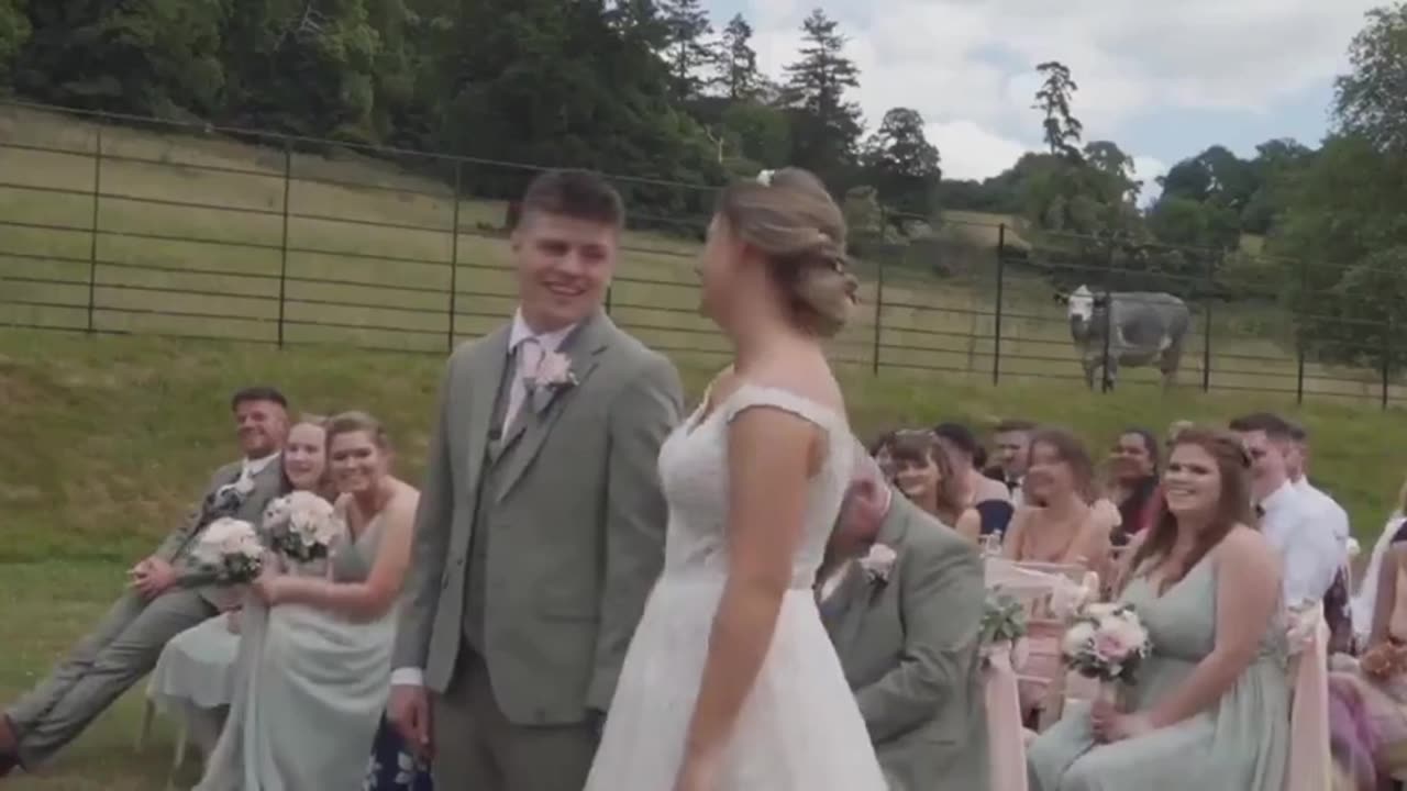 When the local cow decides to have their say at your wedding