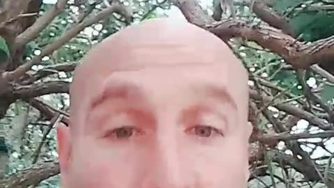 Mindset hack to make money online easy