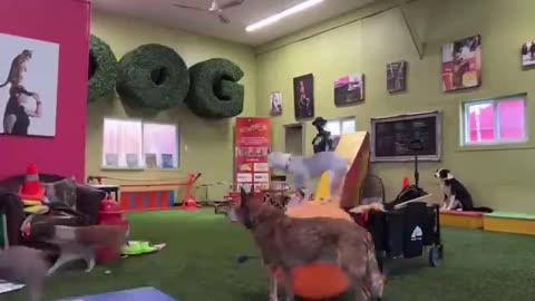 Hogging the ball not cool 🤣