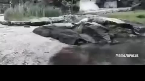 🤣🤔 Guess What Happens Next Will Blow Your Mind! | FunFM