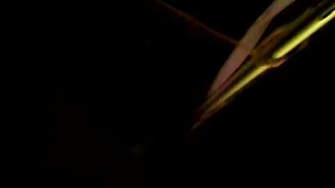 More wandering about