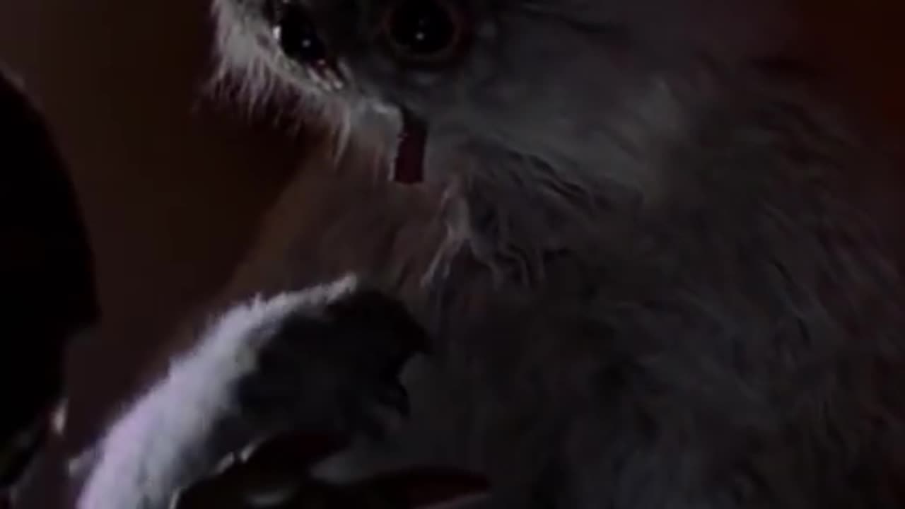 Turbo Snail Walks Into the Mos Eisley Cantina