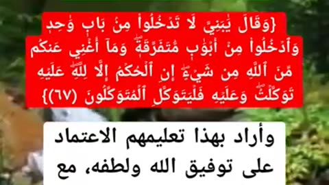 هل فعل الاسباب ينافي التوكل على الله بين ذلك من خلال الايه؟
