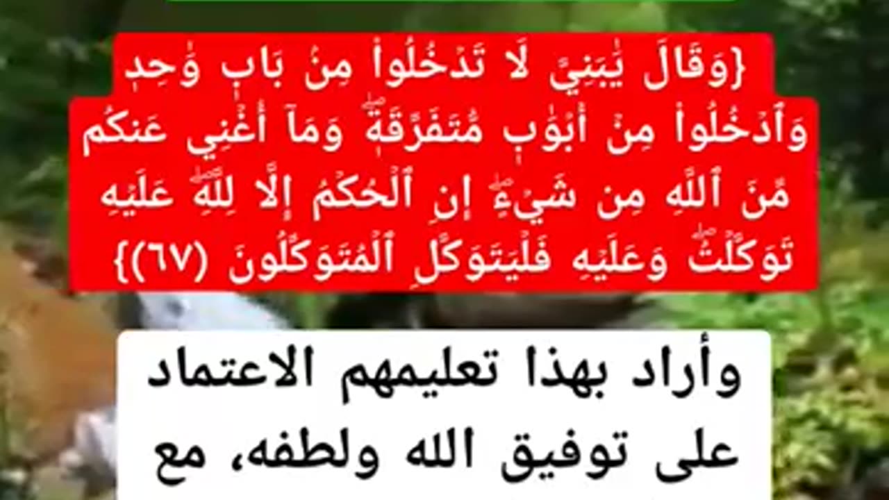 هل فعل الاسباب ينافي التوكل على الله بين ذلك من خلال الايه؟