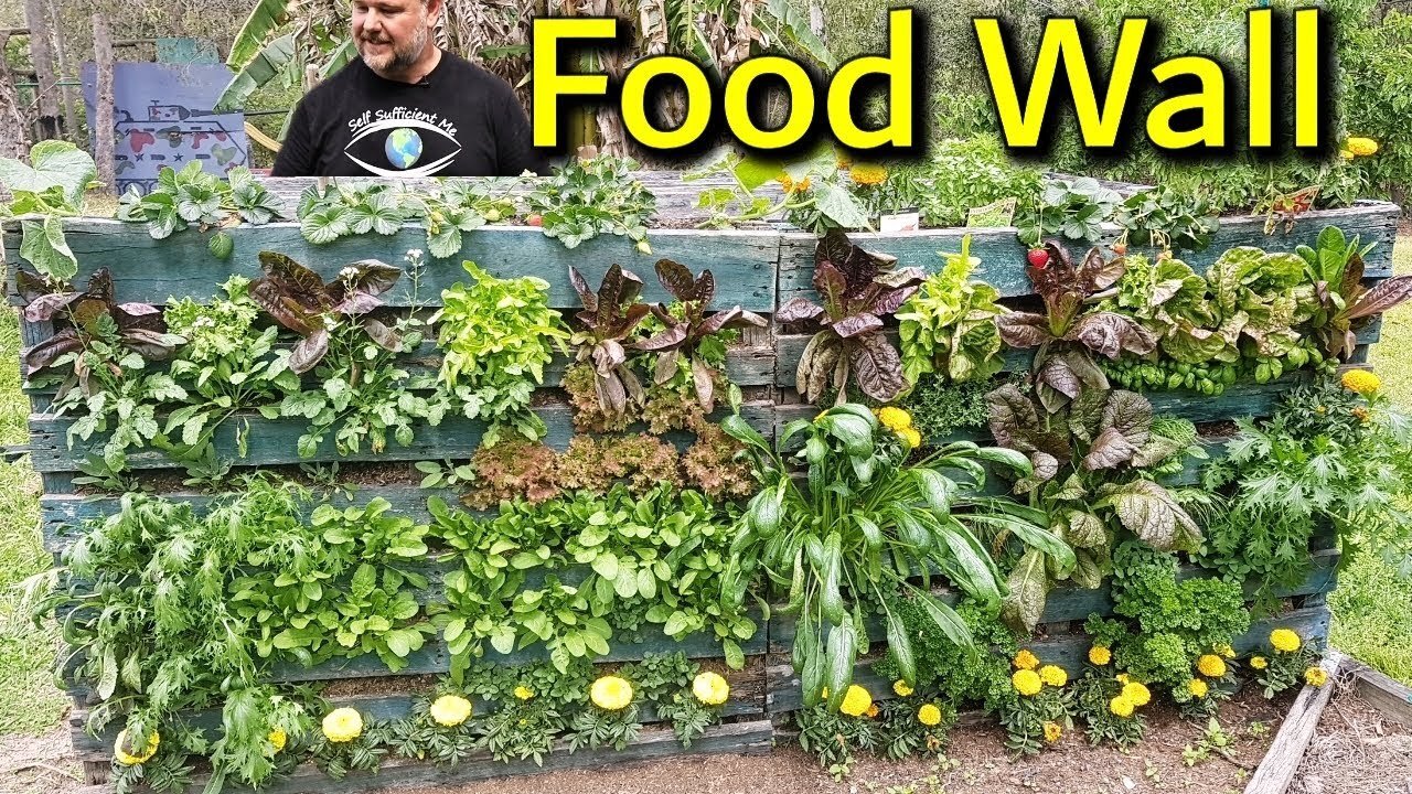 How to Size and Plan a Vegetable Garden ( Self Sufficient )