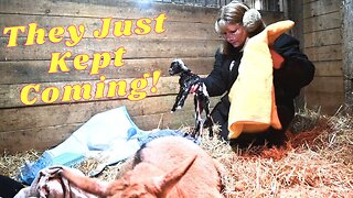 I CAN'T Believe She HAD So MANY Babies!