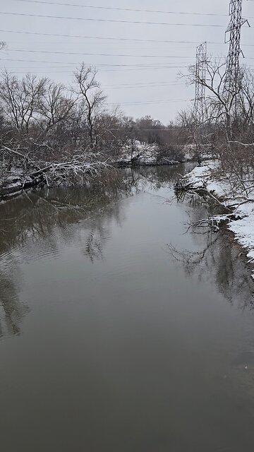 I Don't Think Ducks do That