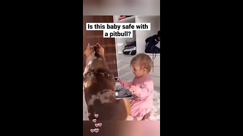 Funny dogs and babies moments 🤣🤣🤣 Funny Pets