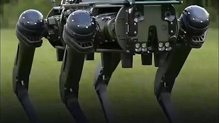 grenade launching robots and other variants being prepped for patrol duty...