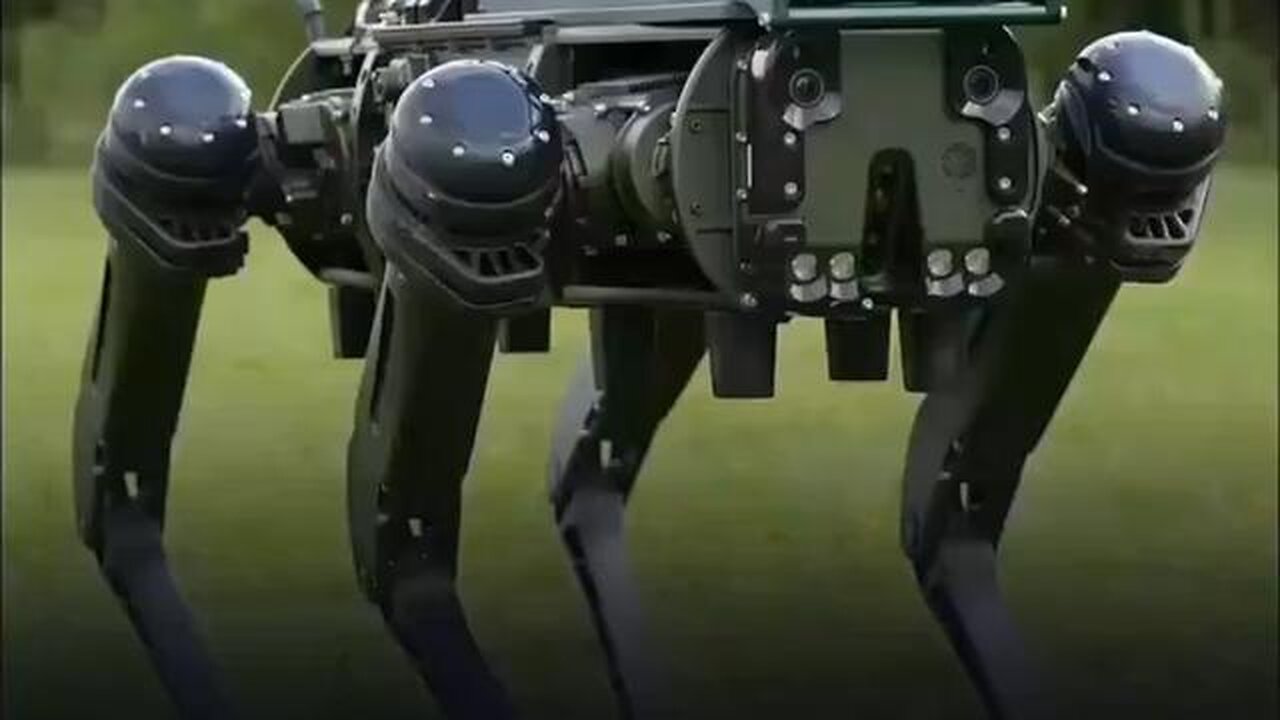 grenade launching robots and other variants being prepped for patrol duty...