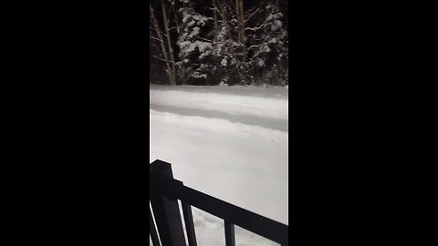 Wasilla Chronicle Winter 2026 Happy New Year 🎊