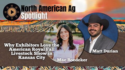 Why Exhibitors Love the American Royal Fall Livestock Show in Kansas City