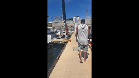 Yacht Life in Puerto Peñasco 🇲🇽 | The Ultimate Sea of Cortez Adventure! #yachts #vacation #sailing