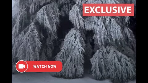 Whispers of Winter: Tazega's Enchantment in the Atlas Mountains