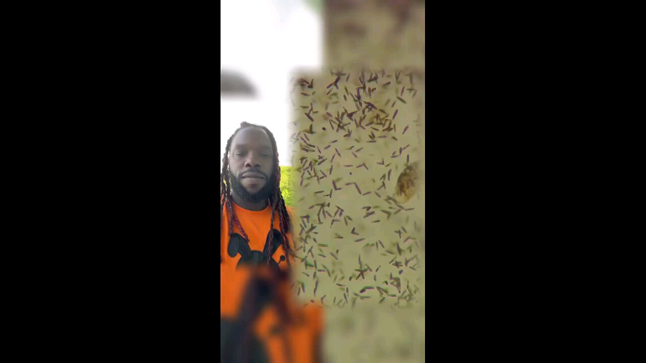 😶‍🌫️