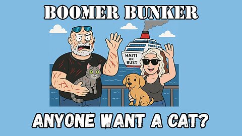 Anyone Want A Cat? | 332