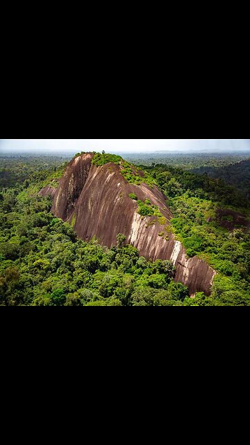 Discovering the Forest Life of Suriname | Amazon Rainforest Secrets