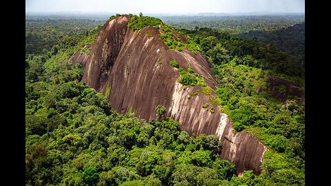 Discovering the Forest Life of Suriname | Amazon Rainforest Secrets