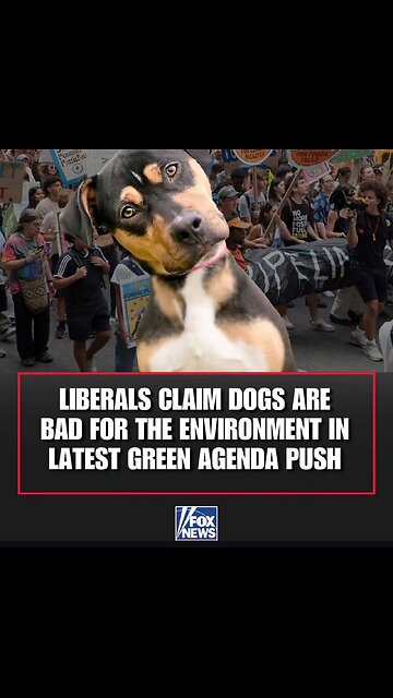 Did dinosaurs really go extinct because of a meteor?! 🤯