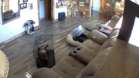 UPS treats