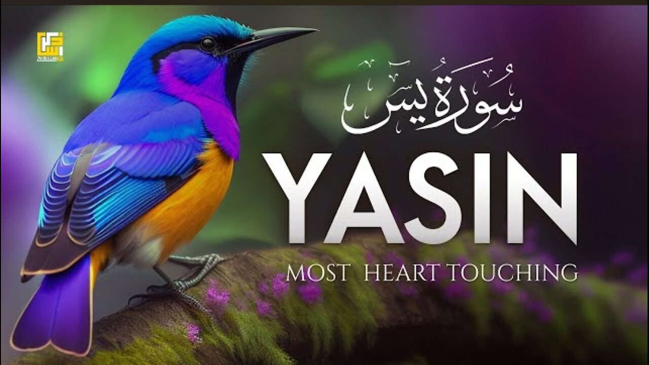 Surah Yasin (Heart ❤️ Touching)