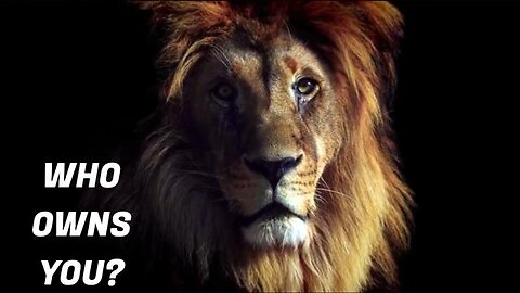 WHO OWNS YOU?