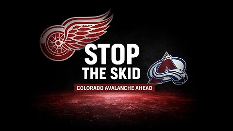 The Red Wings Must Stop the Skid Before the Olympic Break